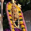நல்லூர்க் கந்தசுவாமி மாம்பழத் திருவிழா(படங்கள்)